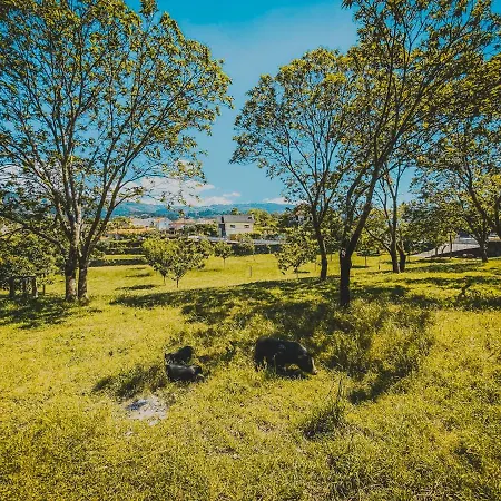 Kwatera prywatna Casa Da Tanquinha Beiral do Lima