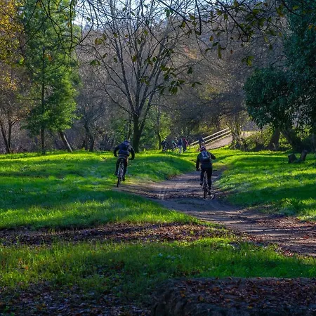 Casa Da Tanquinha 民宿 *