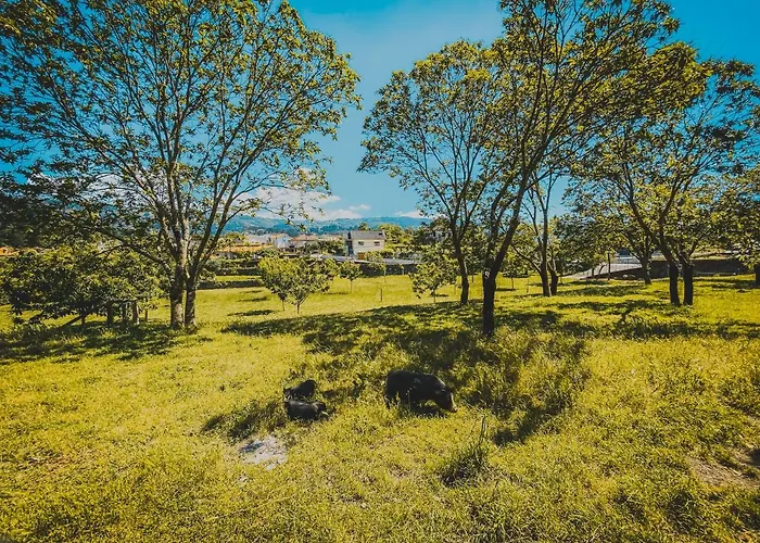 홈스테이 Casa Da Tanquinha Beiral do Lima